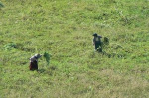 Bagan - 11 of 84