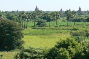 Bagan - 5 of 84