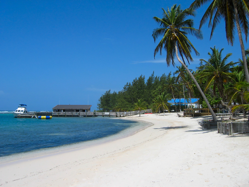 Porn pictures - Gay cayman islands cayman islands Gay
