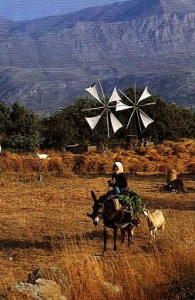 Woman & windmills