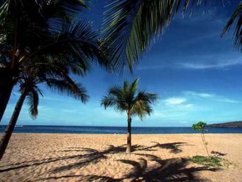 Gay Life In Puerto Rico 98