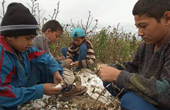 children picking cotton