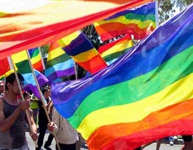 gay pride flags and protestors