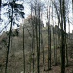Forest view of Castle Potstein.