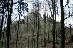 Forest view of Castle Potstein.