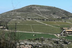 Fields are divided by stone walls.