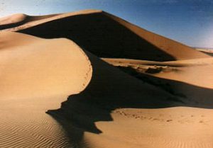 Merzouga Dune.