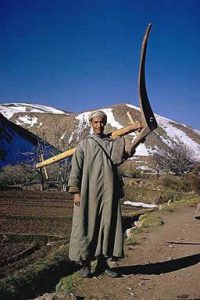 Farmer with wooden plow.