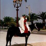 Rabat horse guard.