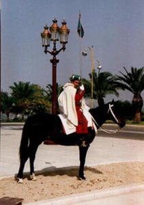 Rabat horse guard.