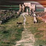 Volubilis main street.