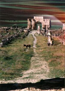 Volubilis main street.