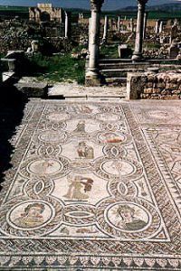 Volubilis mosaic.