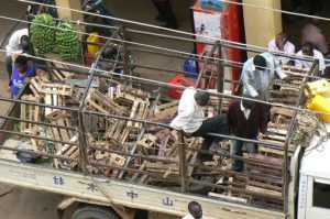 Market deliveries in early morning-everyday.