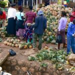 Masindi market - pineapples are a popular food