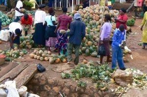 Masindi market - pineapples are a popular food