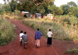 Mesindi rural family