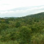 Masindi verdant hills