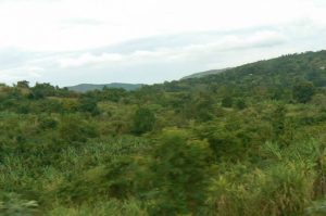 Masindi verdant hills