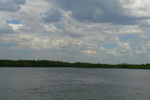 Murchison Falls National Park - after the falls the river