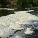 Froth forms below the falls