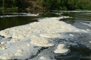 Froth forms below the falls