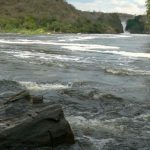 Murchison Falls National Park is named for the dramatic Murchison