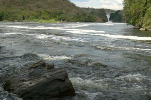 Murchison Falls National Park is named for the dramatic Murchison