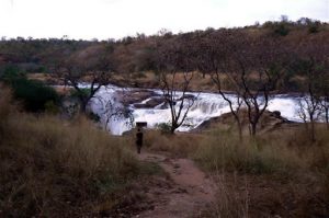 Murchison Falls National Park is named for the dramatic Murchison