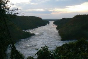 Murchison Falls National Park is named for the dramatic Murchison