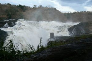 Murchison Falls National Park is named for the dramatic Murchison