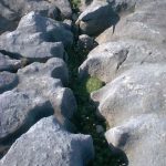 Black Head rock erosion