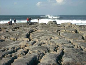 Black Head coast