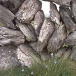 Burren stone wall