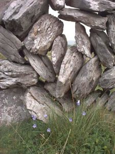 Burren stone wall