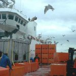 Dunkineely fish wharfs