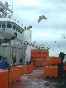 Dunkineely fish wharfs