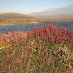 Glenveagh National Park