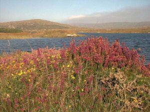 Glenveagh National Park