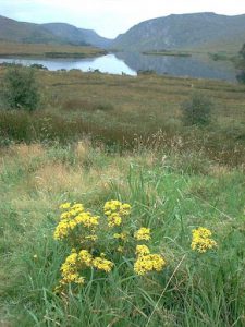 Glenveagh National Park