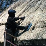 Thatcher installing roof