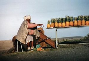 Transkei roadside vendor