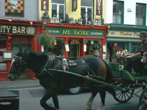 Colorful shop in Kilkenny