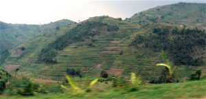 Cultivated hills; the country is small and land is not