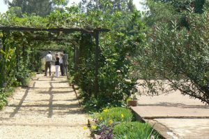 Garden at Genocide Memorial in Kigali