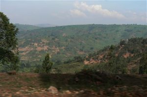 The hills of Rwanda; many forests have been cut down