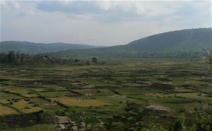 There is precious little flat land in Rwanda and it
