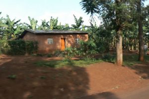 Typical adobe house