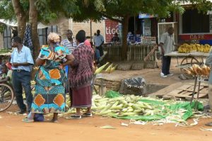 Local life in rural village. Corn is a major crop.