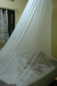 Mosquito bed netting at Amarembo Motel